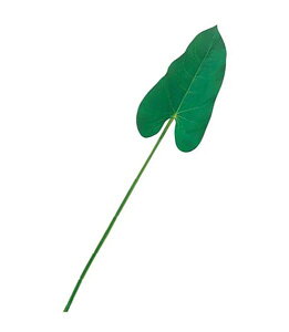 60cm AXE[t [ONSLESP3654] |lHϗtA A[gt[  t[ tFCNO[   t fR[V  Cxg p[eB[ t[AWg ԍ 