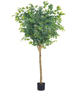 lHϗtA ^150cm EhtBJXc[(i`gN) G}Xv[v[g [ONSLETR7640] ϕs  | ϗtA @A[gt[  tFCNO[ A 