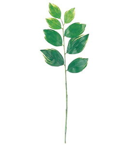 50cm iR[t [ONSLESP7621] |lHϗtA A[gt[  t[ tFCNO[   t fR[V  Cxg p[eB[ t[AWg ԍ C