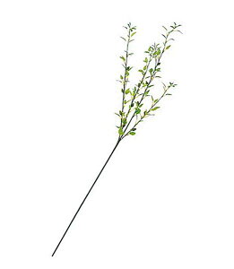 85cm iMXvC(11) [ONSLESP1574] |lHϗtA A[eBVt[  t[ tFCNO[   t fR[V  Cxg p[eB[ t[AWg