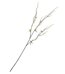 105cm iMXvC [ONSLESP1541] |lHϗtA A[gt[  t[ tFCNO[   t fR[V  Cxg p[eB[ t[AWg ԍ C