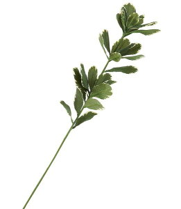 65cm }TLXvC [ONSLESP7671] |lHϗtA A[gt[  t[ tFCNO[   t fR[V  Cxg p[eB[ t[AWg ԍ C