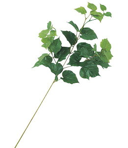 75cm ACr[XvC(30) [ONSLESP7832] |lHϗtA A[gt[  t[ tFCNO[   t fR[V  Cxg p[eB[ t[AWg ԍ 