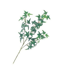 45cm X^[ACr[XvC(48)[ONSLESP7622]|lHϗtA A[gt[  t[ tFCNO[   t fR[V  Cxg p[eB[ t[AWg 