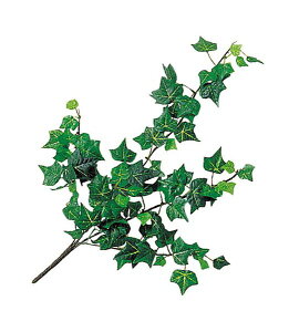 45cm ~jCObVACr[oC(96) [ONSLEVI7381] |lHϗtA  tFCNO[   t fR[V  Cxg p[eB[ t[AWg ԍ Ce