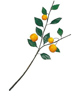 75cm ~JXvC [ONSLESP3481] |lHϗtA A[gt[  t[ tFCNO[   t fR[V  Cxg p[eB[ t[AWg ԍ C