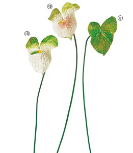 80cm AXE [ONSFLSP3265] |lHϗtA A[gt[  t[ tFCNO[  t  fR[V  Cxg p[eB[ t[AWg Xܑ A