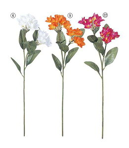 65cm vA [ONSFLSP3673] |lHϗtA A[gt[  t[ tFCNO[  t fR[V  Cxg p[eB[ t[AWg CeA Xܑ