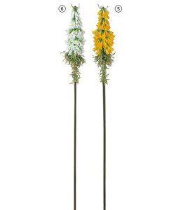 95cm gg} [ONSFLSP3630] |lHϗtA A[gt[  t[ tFCNO[  t  fR[V  Cxg p[eB[ t[AWg Xܑ CG