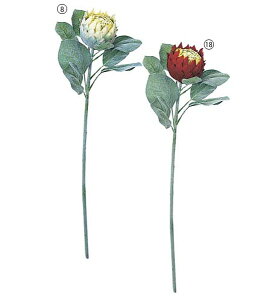 75cm veA [ONSFLSP3671] |lHϗtA A[gt[  t[ tFCNO[  t  fR[V  Cxg p[eB[ t[AWg Xܑ O[