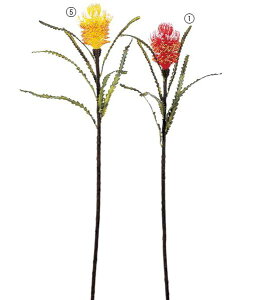 110cm oNVA [ONSFLSP3700] |lHϗtA A[gt[  t[ tFCNO[  t  fR[V  Cxg p[eB[ t[AWg Xܑ b