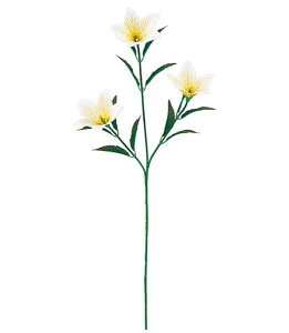 45cm LLE(3) [ONSFLSP3193] |lHϗtA A[gt[  t[ tFCNO[  t  fR[V  Cxg p[eB[ t[AWg Xܑ j[ 