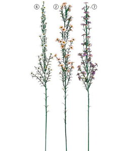 65cm NWN\E [ONSFLSP7276] |lHϗtA A[gt[  t[ tFCNO[  t  fR[V  Cxg p[eB[ t[AWg Xܑ E