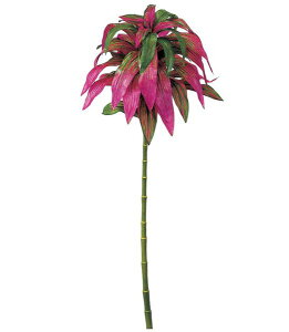 110cm RfBlc[ [ONSLETR3564] |lHϗtA A[gt[  t[ tFCNO[   t fR[V  Cxg p[eB[ t[AWg ԍ 