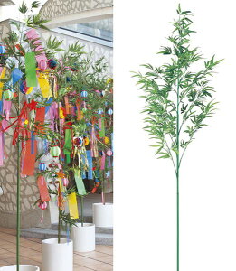 240cm [p|(3) G}Xv[v[g [ONSLETR3603] ϕs  | t[ tFCN lHϗtA  fR[V  Cxg p[eB[ AWg 