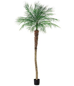 240cm tFjbNXp[c[[ONSLETR7651] G}Xv[v[g ϕs  |lHϗtA tFCNO[   t Xܑ fBXvC  Ce