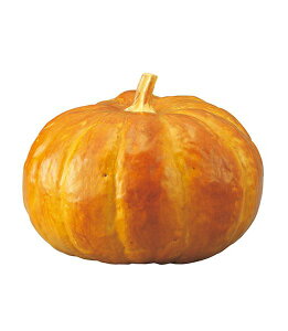 260mm pvL [ONSDIFV71009]  |tFCNt[h HiTv vJ lHϗtA  tFCN fBXvC fR[V 蕨  t   Cxg p[eB[ X