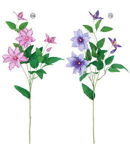 75cm N}`X(4/1) [ONSFLSP3905] |lHϗtA A[gt[  t[ tFCNO[  t  fR[V  Cxg p[eB[ t[AWg Xܑ 