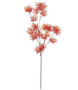 85cm `~WXvC [ONSLESP5646]|lHϗtA A[eBtBVt[  tFCNO[  t fR[V  Cxg p[eB[ t[AWg ԍ