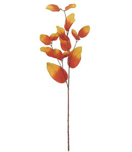 85cm JL[tXvC [ONSLESP5647] |lHϗtA A[gt[  t[ tFCNO[   t fR[V  Cxg p[eB[ t[AWg ԍ 