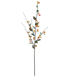 85cm [YqbvXvC [ONSLESP5156] |lHϗtA  tFCNO[   t fR[V  Cxg p[eB[ t[AWg ԍ CeA Xܑ f