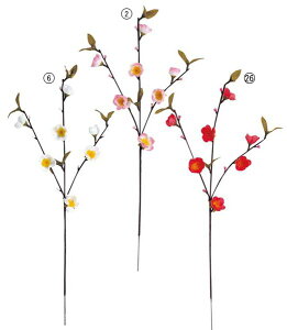 50cm (7) [ONSFLSP1365] |lHϗtA A[gt[  t[ tFCNO[  t  fR[V  Cxg p[eB[ t[AWg CeA Xܑ