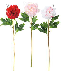 60cm {^(1/4) [ONSFLSP1862] |lHϗtA A[gt[  t[ tFCNO[  t  fR[V  Cxg p[eB[ t[AWg CeA X