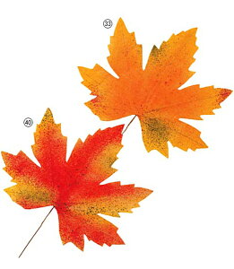 55cm I[^[t [ONSDIMI51029] |lHϗtA  tFCN O[  t G  fR[V  Cxgpi p[eB[ t[AWg CeA Xܑ fB