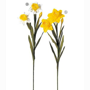 65cm bpXCZ [ONSFLSP1238] | lHϗtA A[eBVt[ tFCNO[  t fR[V  Cxg t[AWg Xܑ ԍ fBXvC 