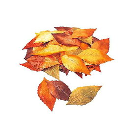 14cm ブナリーフ（50枚入り） [ONSLEPT5120] |人工観葉植物 造花 フェイク グリーン 装飾 飾付 資材 デコレーション 飾り イベント用品 パーティー フラワーアレンジメント インテリア 店舗装飾 ディスプレイ 飾り付け ハロウィン 秋装飾 ブナ リーフ 落葉 葉っぱ