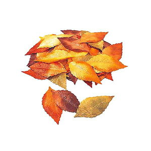 14cm ui[ti50j [ONSLEPT5120] |lHϗtA  tFCN O[  t  fR[V  Cxgpi p[eB[ t[AWg CeA Xܑ f