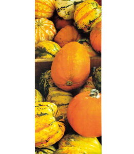 180vm pvL[oi[ [ONSDITA5893] |lHϗtA  tFCN O[  t  fR[V  Cxgpi p[eB[ AWg CeA Xܑ 