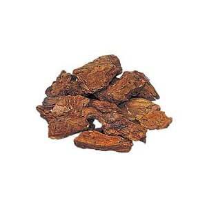 2`8cm K[fo[N(4L) [ONSPAPL7478] |lHϗtA A[gt[  tFCNO[  t  VRf p[c t[ t[AWg fBXvC fR[V