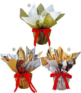 12cm fR|bg(4) [ONSPAPO6350] | tFCN lHϗtA  t NX}X  G ̔ t[x[X |bg Aؔ t[AWg NX}X Xܑ  