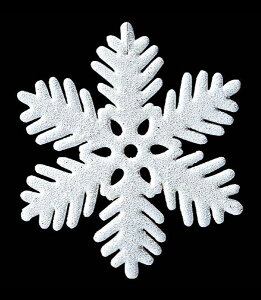 25cm Xm[t[N [ONSDISN6348] | tFCN lHϗtA  t NX}X  G Cxg NX}Xc[ I[ig NX}X  t[AWg p