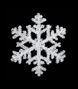 20cm Xm[ [ONSDISN6673] | tFCN lHϗtA  t NX}X  G Cxg NX}Xc[ I[ig NX}X  t[AWg p[eB[ 