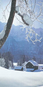 180cm zCgJg[[oi[ [ONSDITA6877]  |lHϗtA  tFCN   t  fR[V  Cxg p[eB[ Xܑ fBXvC  