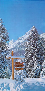 180cm zCg}EeXN[ [ONSDITA6895]  |lHϗtA  tFCN   t  fR[V  Cxg p[eB[ Xܑ fBXvC  t