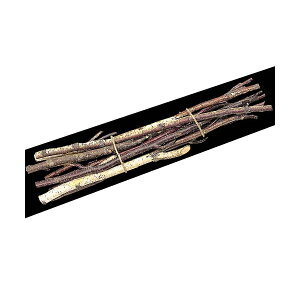 50cm }ohi10{j [ONSDO75770] |lHϗtA  tFCN   t  K[fjO u fR[V  Cxg p[eB[ t[AWg X