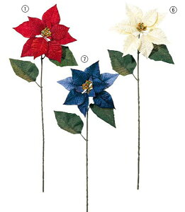 75cm xxbg|CZ`A [ONSFLSP6722] |lHϗtA A[gt[  t[ tFCN  t fR[V  Cxg p[eB[ t[AWg CeA X