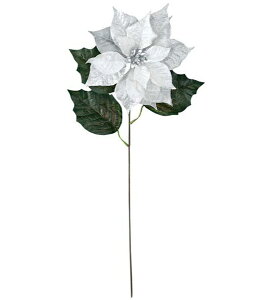 65cm Vo[GKgVA[|CZ`A [ONSFLSP6809] |lHϗtA A[gt[  tFCN  t fR[V  Cxg p[eB[ t[AWg Ce