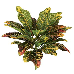 45cm NgubV(30) [ONSLEBU7662] | t[ tFCN lHϗtA [t  fR[V  Cxg p[eB[ t[AWg Xܑ tFCNO[ A