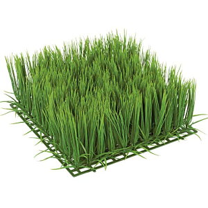 27cm OxgOX}bg [ONSLEMT7466]  |lHϗtA  tFCNO[   t fR[V  Cxg p[eB[ t[AWg CeA X