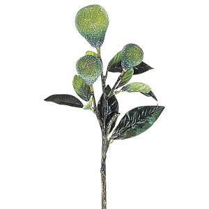 35cm tXgyAsbN(3) [ONSLESP6487] | tFCN lHϗtA NX}X  fR[V K[h I[ig  Cxg p[eB[ t[AWg NX}X