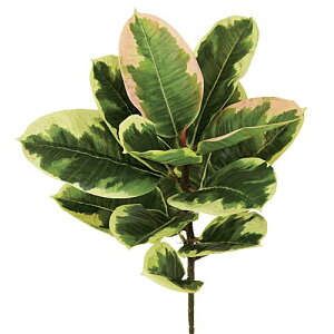 50cm o[ubV(15) [ONSLETR7672] |lHϗtA A[gt[  t[ tFCNO[   t fR[V  Cxg p[eB[ t[AWg ԍ C