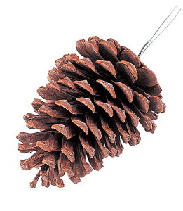 100mm pCR[(C[t)i6{j [ONSPANP6675] |VRf   t Xܑ fBXvC NX}X sbN pCR[ ڂ ܂ڂ t Christmas