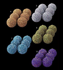 80mm r[YXpR[{[ [ONSTOBA6153] | tFCN lHϗtA NX}X  fR[V K[h I[ig  Cxg p[eB[ t[AWg Xܑ