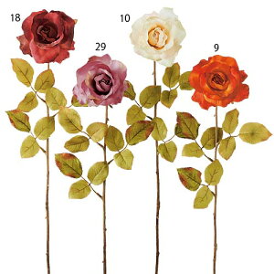 65cm tH[[Y [ONSFLSP5913] |lHϗtA A[gt[  t[ tFCNO[  t fR[V  Cxg p[eB[ t[AWg CeA X