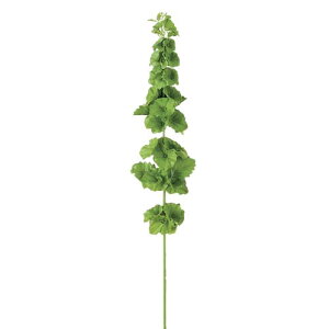 80cm xIuACh(45) [ONSFLSP7925] |lHϗtA A[gt[  t[ tFCNO[   t fR[V  Cxg p[eB[ t[AWg 