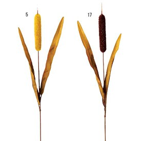 75cm ガマスプレイ [ONSLESP5852] |人工観葉植物 アートフラワー 造花 フラワー フェイクグリーン 資材 装飾 飾付 デコレーション 飾り イベント パーティー フラワーアレンジメント 花材 インテリア 店舗装飾 ディスプレイ 室内装飾 飾り付け 秋 ガマ スプレイ